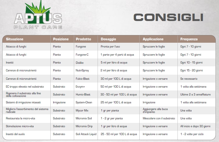 CONSIGLI SCHEMA aptus4