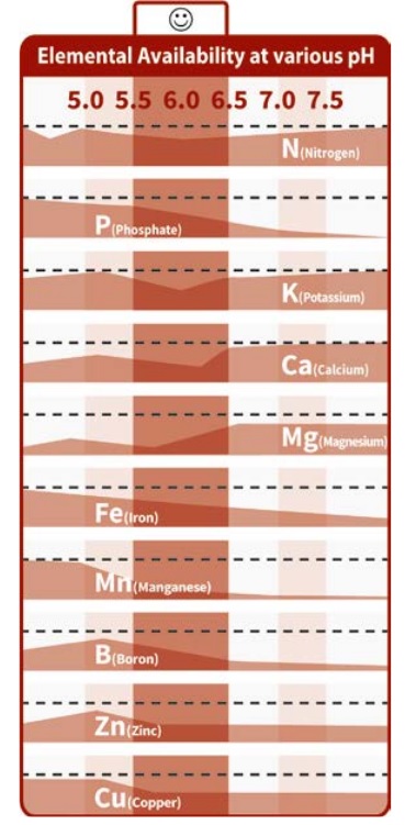 schema assimilazione ph