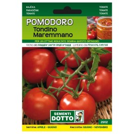 Dotto-POMODORO-TONDINO-MAREMMANO