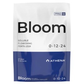 ATHENA_PRO_BLOOM