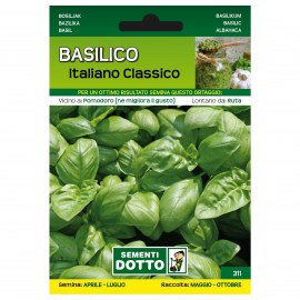 BASILICO-ITALIANO-CLASSICO