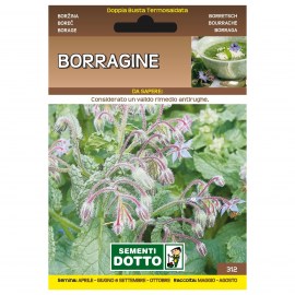 BORRAGINE