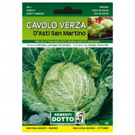 CAVOLO-VERZA-DASTI