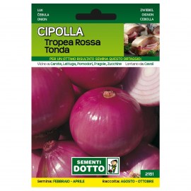 CIPOLLA-DI-TROPEA-ROSSA-TONDA