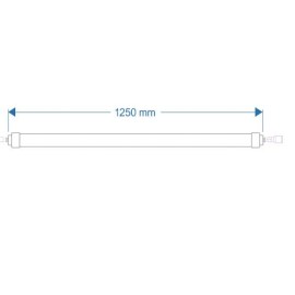 CULTILIEDt8CLONINGsizes