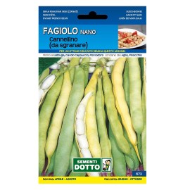 FAGIOLO_CANNELLINO