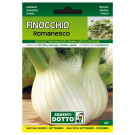 FINOCCHIO-ROMANESCO