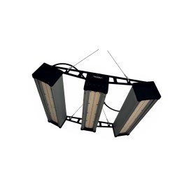 IGRO-TAURUS-LED-600W