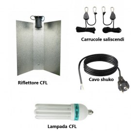 KIT-CFL-GROW-200W