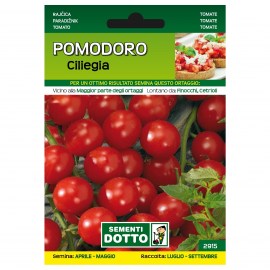 POMODORO-CILIEGIA