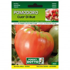 POMODORO-CUOR-DI-BUE