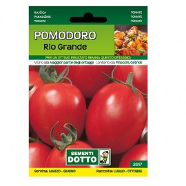 POMODORO-RIO-GRANDE