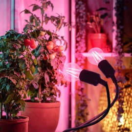 Planty-clip-duo-2xE27-black3