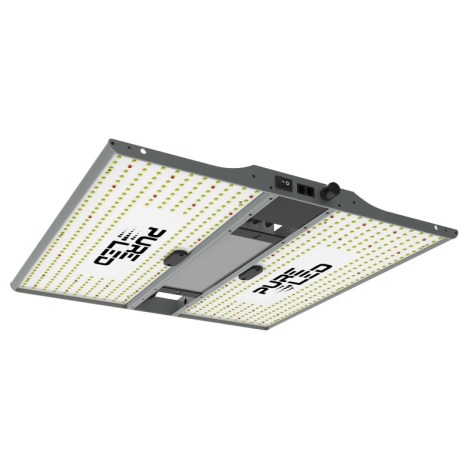 Pure-Light-PURE-LED-Q240-V2.0
