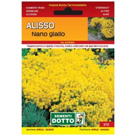 Sementi-Dotto-ALISSO-NANO-GIALLO