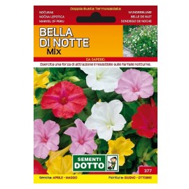 Sementi-Dotto-BELLA-DI-NOTTE