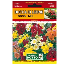 Sementi-Dotto-BOCCA-DI-LEONE-NANA-MIX