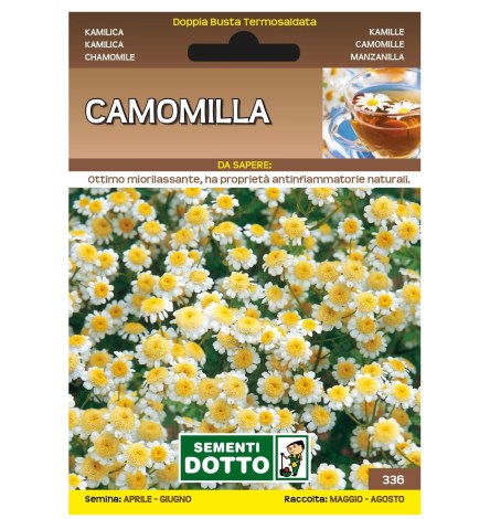 Sementi-Dotto-CAMOMILLA