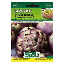Sementi-Dotto-CARCIOFO-IMPRERIAL-STAR