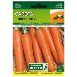 Sementi-Dotto-CAROTA-BERLICUM-2