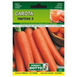 Sementi-Dotto-CAROTA-CAROTA-NANTES-3