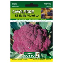 Sementi-Dotto-CAVOLFIORE-DI-SICILIA-VIOLETTO