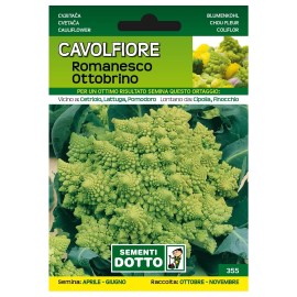 Sementi-Dotto-CAVOLFIORE-ROMANESCO-OTTOBRINO