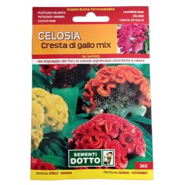 Sementi-Dotto-CELOSIA-CRESTA-DI-GALLO-MIX