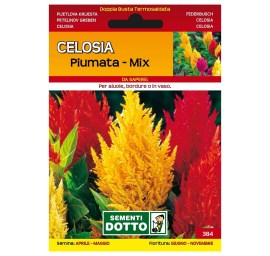 Sementi-Dotto-CELOSIA-PIUMATA-MIX