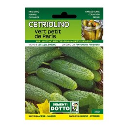 Sementi-Dotto-CETRIOLINO-VERT-PETIT-DE-PARIS