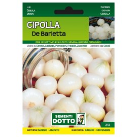 Sementi-Dotto-CIPOLLA-DE-BARLETTA9