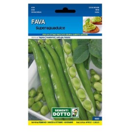 Sementi-Dotto-FAVA-DA-ORTO-SUPERAGUADULCE7