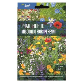 Sementi-Dotto-FIORI-PERENNI-MISCUGLIO-DI-FIORI-PER-PRATI-FIORITI