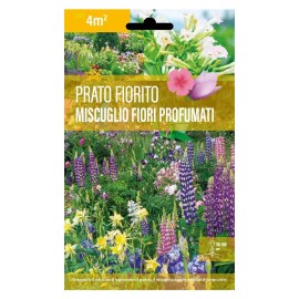 Sementi-Dotto-FIORI-PROFUMATI-MISCUGLIO-DI-FIORI-PER-PRATI-FIORITI