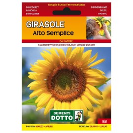 Sementi-Dotto-GIRASOLE-ALTO-SEMPLICE