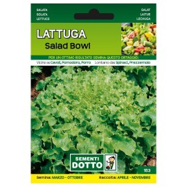 Sementi-Dotto-LATTUGA-SALAD-BOWL