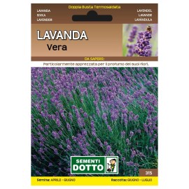 Sementi-Dotto-LAVANDA-VERA