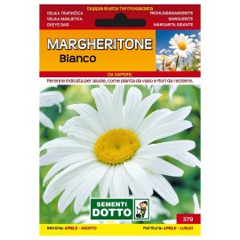 Sementi-Dotto-MARGHERITONE-BIANCO