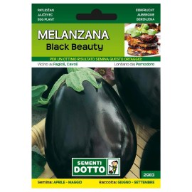 Sementi-Dotto-MELANZANA-BLACK-BEAUTY