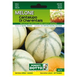 Sementi-Dotto-MELONE-CANTALUPO-DI-CHARENTAIS