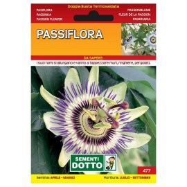 Sementi-Dotto-PASSIFLORA