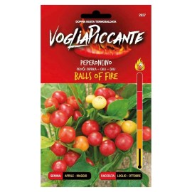 Sementi-Dotto-PEPERONCINO-BALLS-OF-FIRE