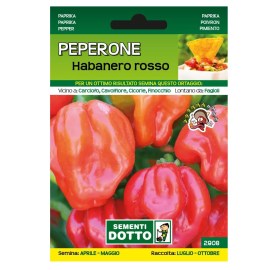 Sementi-Dotto-PEPERONE-HABANERO-ROSSO