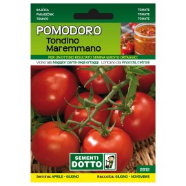 Sementi-Dotto-POMODORO-TONDINO-MAREMMANO