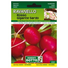 Sementi-Dotto-RAVANELLO-ROSSO-GIGANTE-SARDO