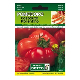 Sementi-Dotto-Sementi-Dotto-POMODORO-COSTOLUTO-FIORENTINO