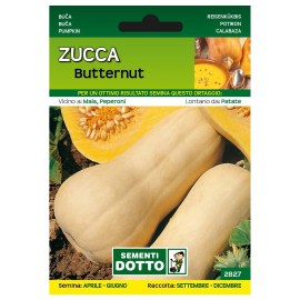 Sementi-Dotto-ZUCCA-BUTTERNUT