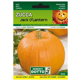 Sementi-Dotto-ZUCCA-JACK-OLANTERN