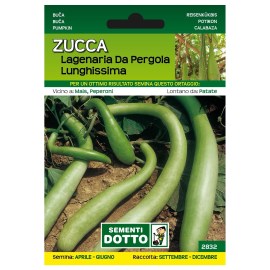 Sementi-Dotto-ZUCCA-LAGERIANA-DA-PERGOLA-LUNGHISSIMA