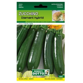 Sementi-Dotto-ZUCCHINO-DIAMANT-HYBRID